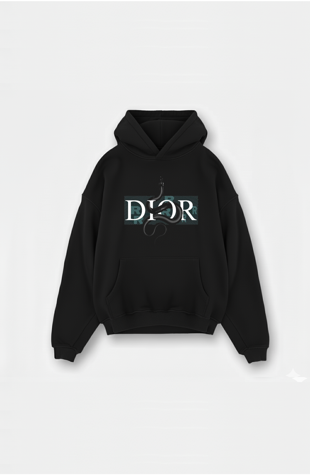 DIOR HOODIE